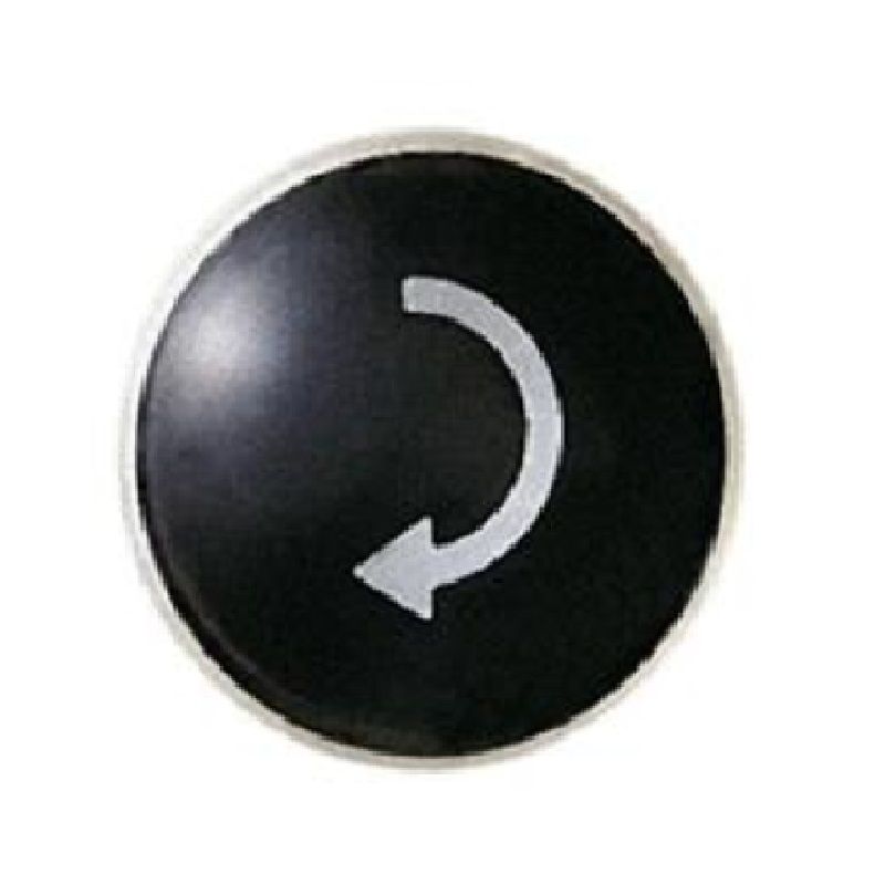 Odoo • Text and Image