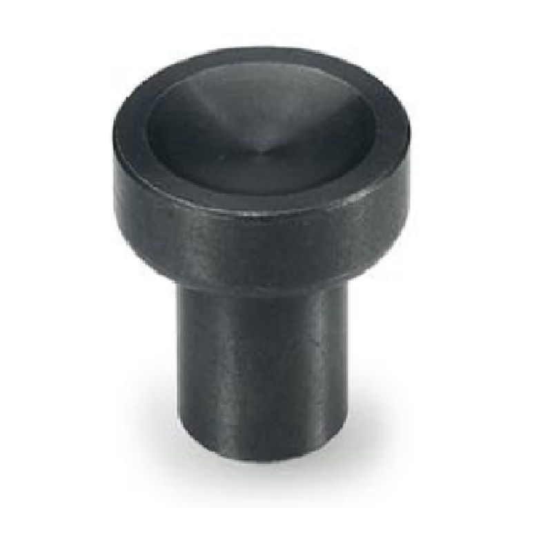 Odoo • Text and Image