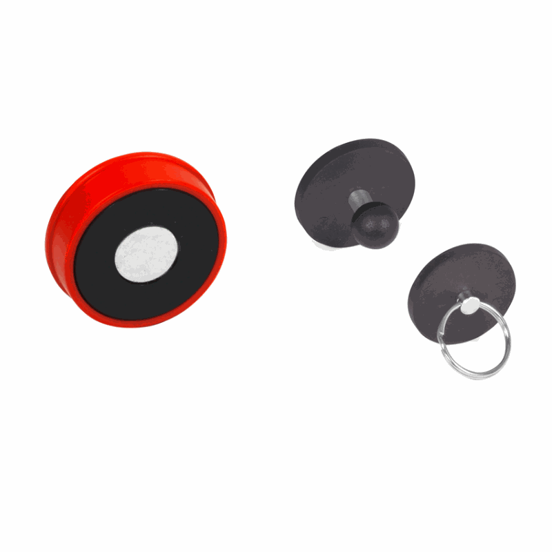 Odoo • Image and Text