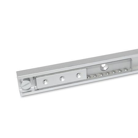 GN2402-43-370-1010 LINEAR BALL SLIDE